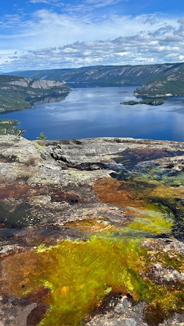 Vi ønsker alle en riktig god sommer :-)