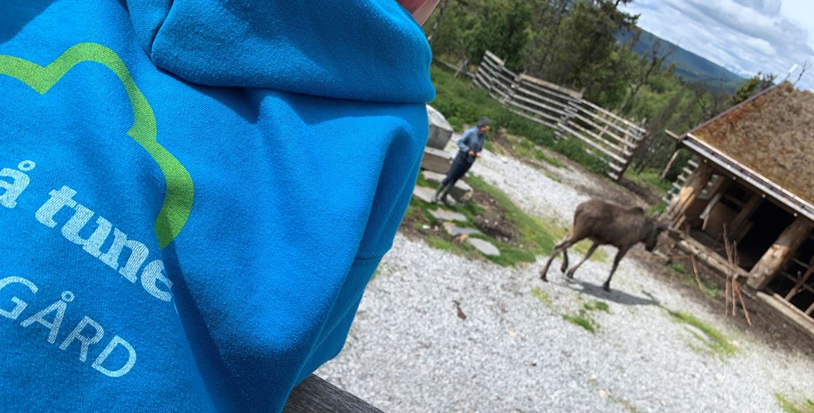 TVEITAN GÅRD – "INN PÅ TUNET"